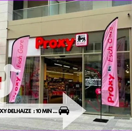 Hébergement de vacances Le Du Canard Boiteux Silly