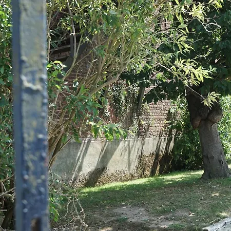 Le Du Canard Boiteux *