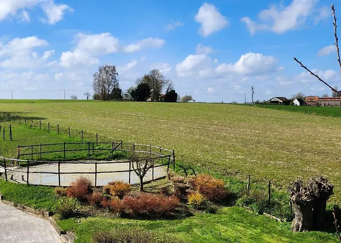 Le Du Canard Boiteux *