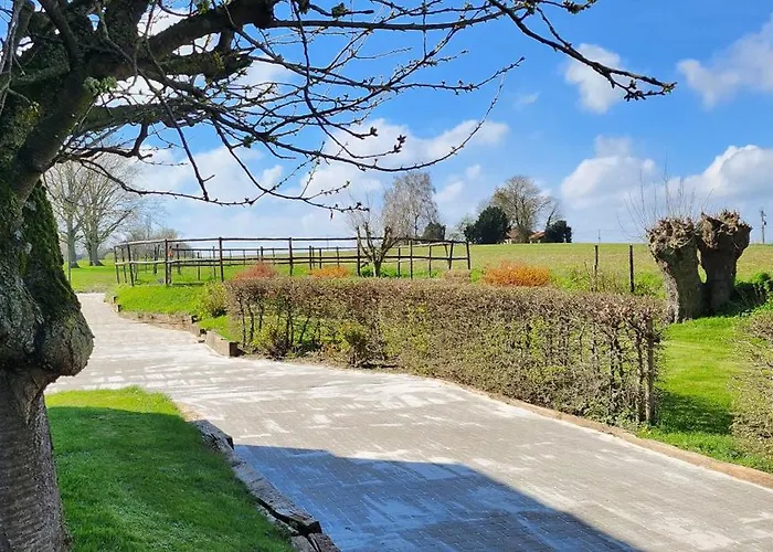 Le Du Canard Boiteux * Silly