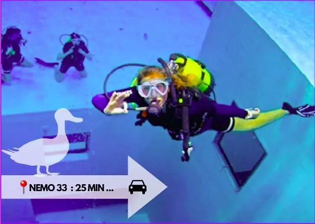 Le Du Canard Boiteux Silly