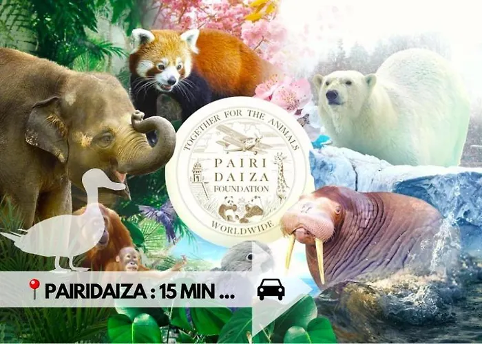 Le Du Canard Boiteux *