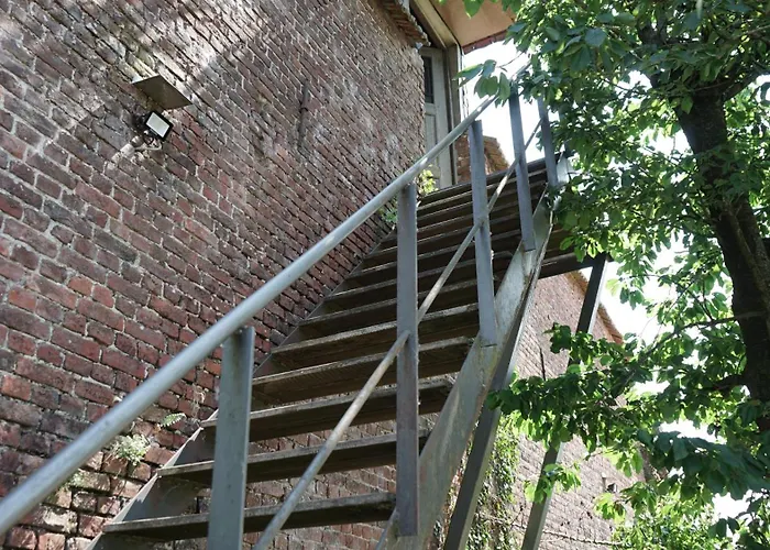 Le Du Canard Boiteux * Silly